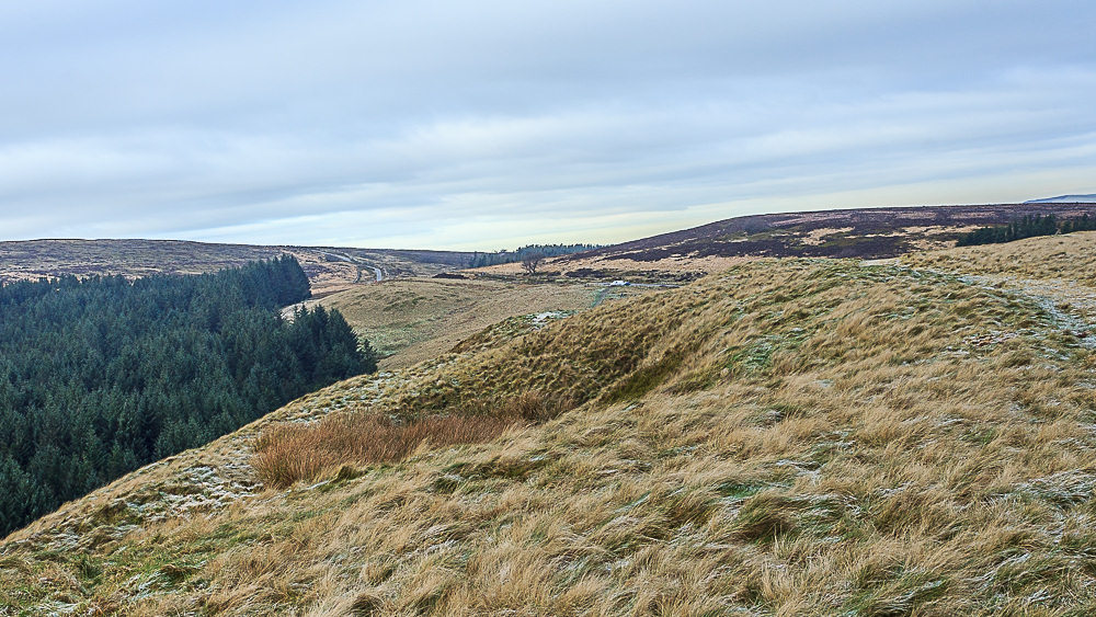 Foxlow Edge Foxlow Edge